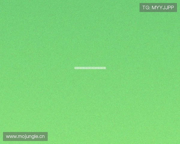 那不勒斯官网最新动态及球队未来赛季战略解析